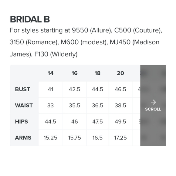 Allure Wedding Gown - Picture 8 of 8